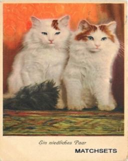 1920 Interior Beautiful German Cats POSTCARD