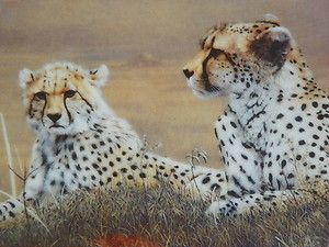   Knowles Collector Plate Grand Safari Images of Africa Cheetahs