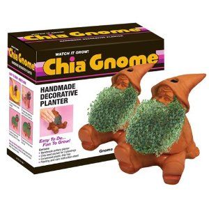 Gnome Chia Pet Planter Beard Nome Plant Terra Cotta Clay Brand New 