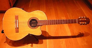 Gibson Custom Shop Chet Atkins Solid Body Nylon String Guitar