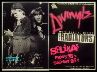 Divinyls Chrissy Amphlett Orig oz 1985 Concert Poster