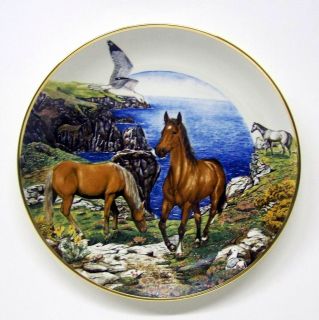 Limited Edition  Cliffside Beauty  A Country Season of Horses