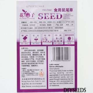 Clary Sage Seeds Herb Seed Garden 10pcs 1 Package DIYSEEDS Inc D40
