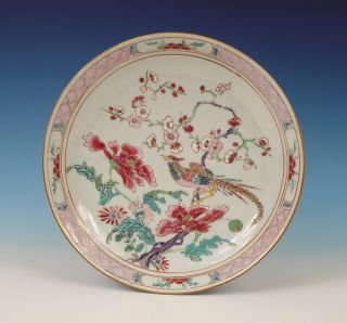 Perfect Chinese Porcelain Coloured Plate Bird 18th C. Quality