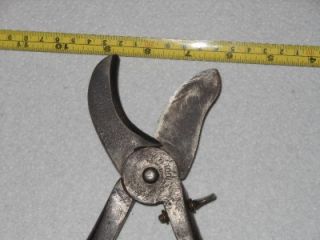 Antique Currier Koeth Coudersport Pa. Cutter Tool Pat. July 2 1900