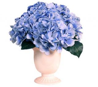 Blue Hydrangea Bouquet by Valerie —