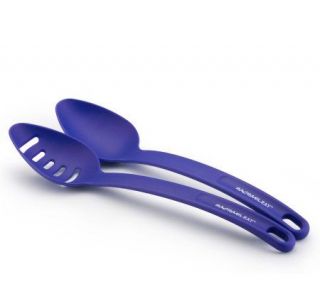 Rachael Ray 2 Piece Spoon Set   Blue —