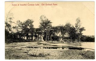 Conesus Lake NY Old Orchard Point Cottages Postcard