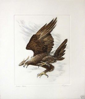 Robert Katona Flight Eagle Original Etching Art Signed Numbered Make