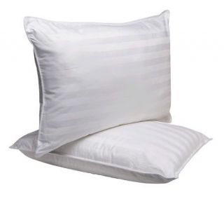 Sealy MaxiLoft Set of 2 Egyptian Cotton Pillows  Extra Firm — 