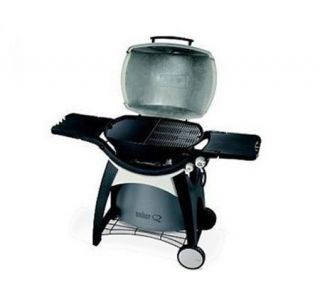 Weber Q Griddle for Q300 Series Gas Grill —