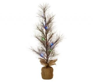 BethlehemLights BatteryOperated Prelit 36 Twig Tree with Timer