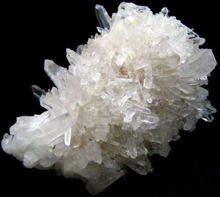 Clear Quartz Crystal Cluster Specimen qzsc2idz240