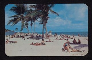1950s Beach Palm Trees Crandon Park FL Miami Dade Co Postcard Florida