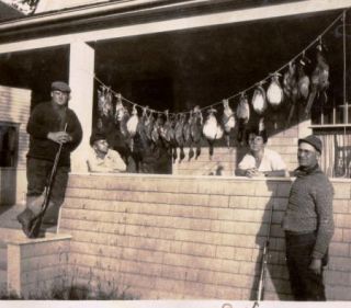 1924 Photo Men Killed Ducks Rifles Guns Cross Lake New York