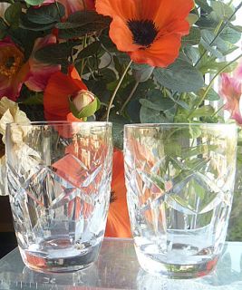 Waterford Crystal 2 Kerry 3 5 Whisky Tumblers Signed