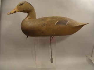  Duck Decoy Harry Canfield Miss R Dallas City IL ORG P EXC