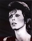 15565 David Bowie Sticker Decal Ziggy Stardust 70s Band Glam Rock Head