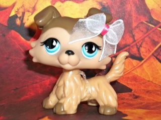 Collie #893 with Bow Littlest Pet Shop Rain Drop Eyes New Rare Puppy
