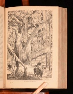  Pictorial Life And Discoveries David Livingstone By Ritchie Colour