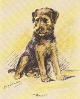 Airedale Terrier Puppy Print   Lucy Dawson   