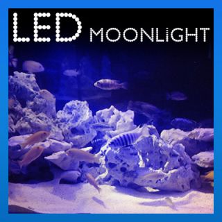 Barra Luz de Luna 9 LEDs Azul Impermeable Para Acuario