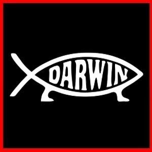 Darwin Fish Atheist Evolution Science Atheism T Shirt