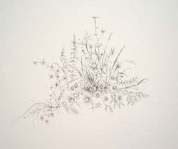 David Holmes Signed Original Drawing Wildflowers Listed
