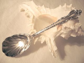Countess Silver Plate Deepsilver Shell Sugar Spoon