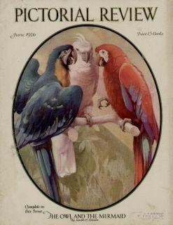  Pictorial Review Cover Colorfull Parrots and Cockatoo Birds L K