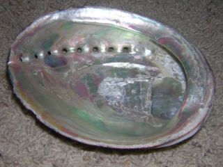 Abalone Shell Decorative Ashtray or Incense Burner 5