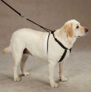 Guardian Gear Anti Pull Dog Harness No Pull (designed by J. Sporn