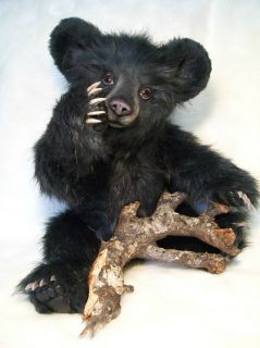 Realistic OOAK 29 5 Artist Young Asian Black Bear MIA by Osomimoso