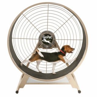 New Gopet Medium Dog Treadwheel Up to 80 lbs Free SHIP Treadmill Made