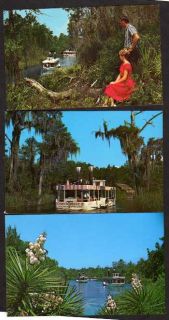 FL Lot 3 Weeki Wachee Famous Mermaids Amusement Park Florida Postcards