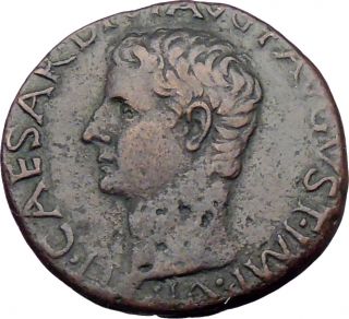 TIBERIUS and LIVIA, Rome, 15AD, Copper As. Certified Roman Coin.