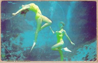 Weeki Wachee Mermaids Yellow Swimsuits Double Ballet FL Dexter 88583