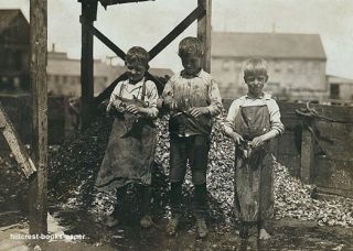 Fish Cutters at Seacoast Canning 7 Eastport Maine 1911