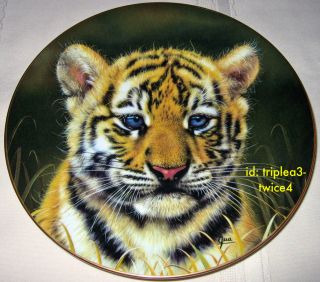 Princeton Gallery Cubs Of The Big Cats TIGER CUB Portrait Plate By Qua