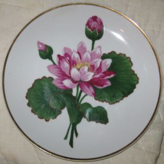 Floral Dinner Plate by Ucagco China Occupied Japan