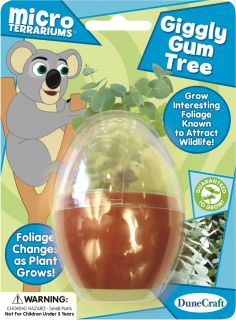 Giggly Gum Tree Micro Terrarium Kit w Eucalyptus Seeds