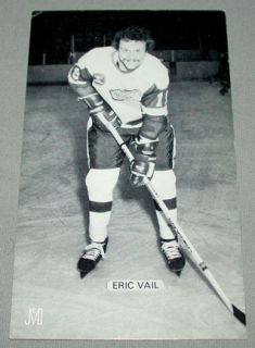 Eric Vail Detroit Red Wings J D McCarthy Postcard