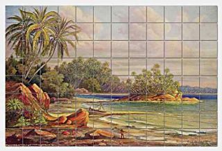 Haeckel Cocos islands Marble Mural Backsplash Kitchen 48x32 in