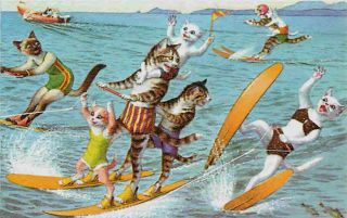 Eugen Hartung Artist Signed Mainzer Dressed Cats Water Skiing Vintage