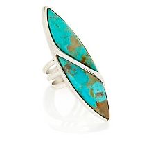 Jay King Sonoran Turquoise Sterling Silver Earrings