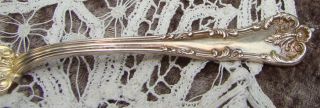 LUNT Chatelaine Enid *Bright Cut* Sterling Silver Master Butter Knife