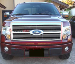 THIS GRILLE INSERT IS THE ITEM WE SELL ( Picture # 2 and # 3)