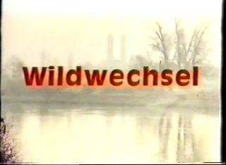 Rainer Werner Fassbinders dark controversial WILD GAME 1973. Eva
