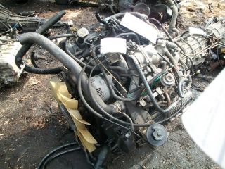 97 98 Ford Expedition Engine 5 4L Vin L 8th Digit SOHC