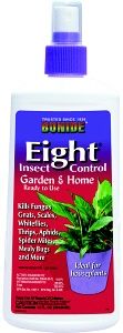 Bonide EIGHT Spray kills Scale, Aphids, Spidermites, Mealy bugs 12 oz